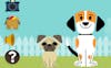 dog Games